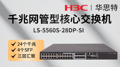 華三交換機(jī) LS-5560S-28DP-SI