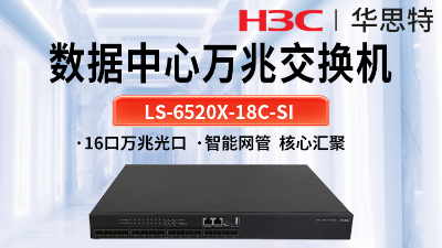 華三 LS-6520X-18C-SI 以太網交換機