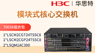 H3C S7003X套包 框架式交換機