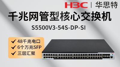 華三 S5500V3-54S-DP-SI 交換機